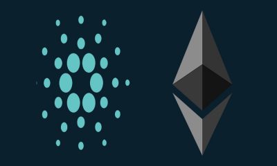 Cardano and Ethereum Recommended for Long-Haul Holding