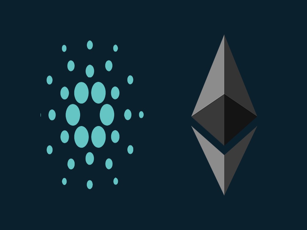 Cardano and Ethereum Recommended for Long-Haul Holding