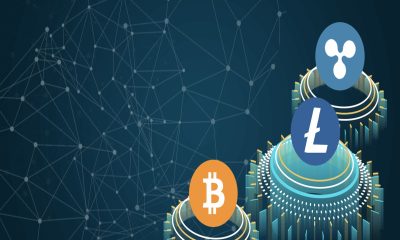 9 Steps to Follow in Cryptocurrency Development