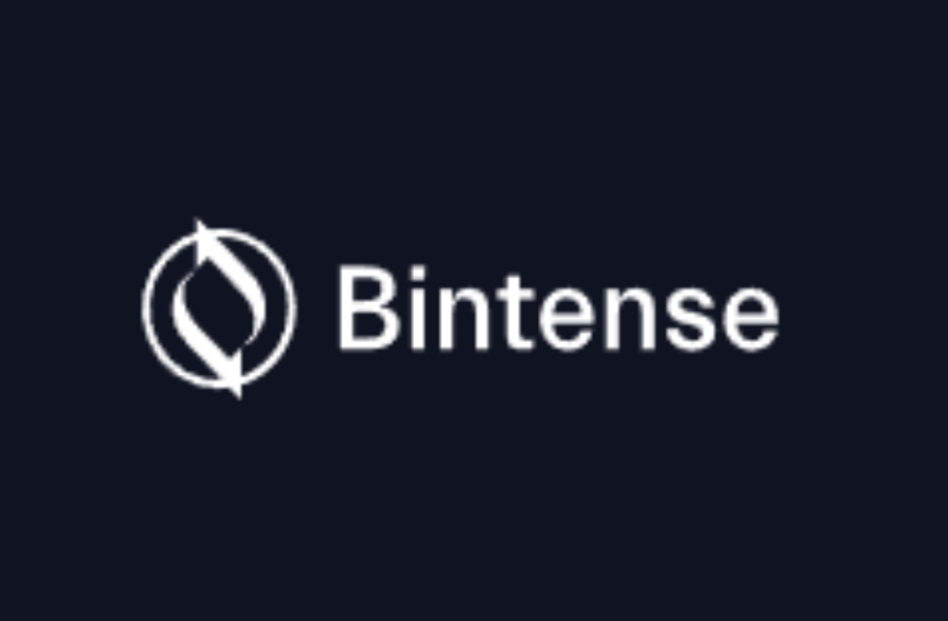 Bintense logo