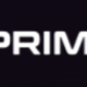 Finprime Pro Logo